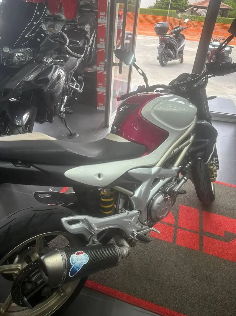 Suzuki SV 650 (2006 - 11) (7)