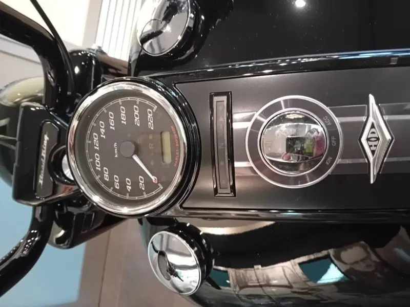 Harley-Davidson Road King Special (2021 - 25) (4)