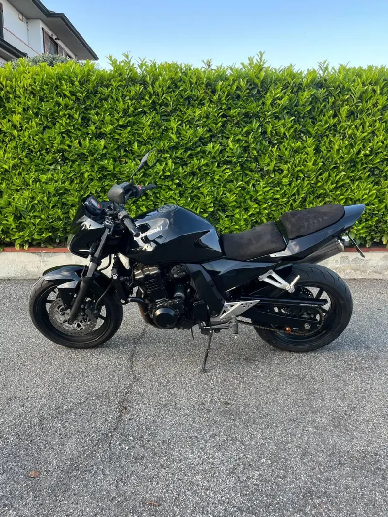 Kawasaki Z 750 (2003 - 06) (3)