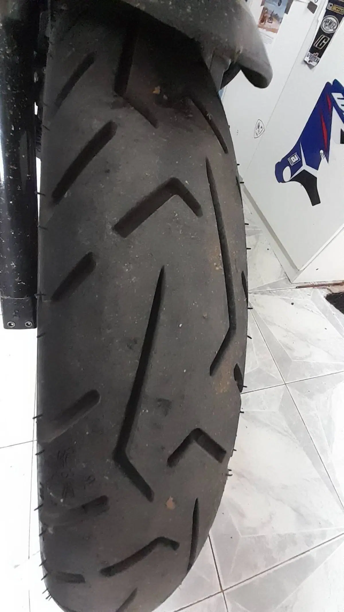 Moto Guzzi V7 Stone (2021 - 24) (3)