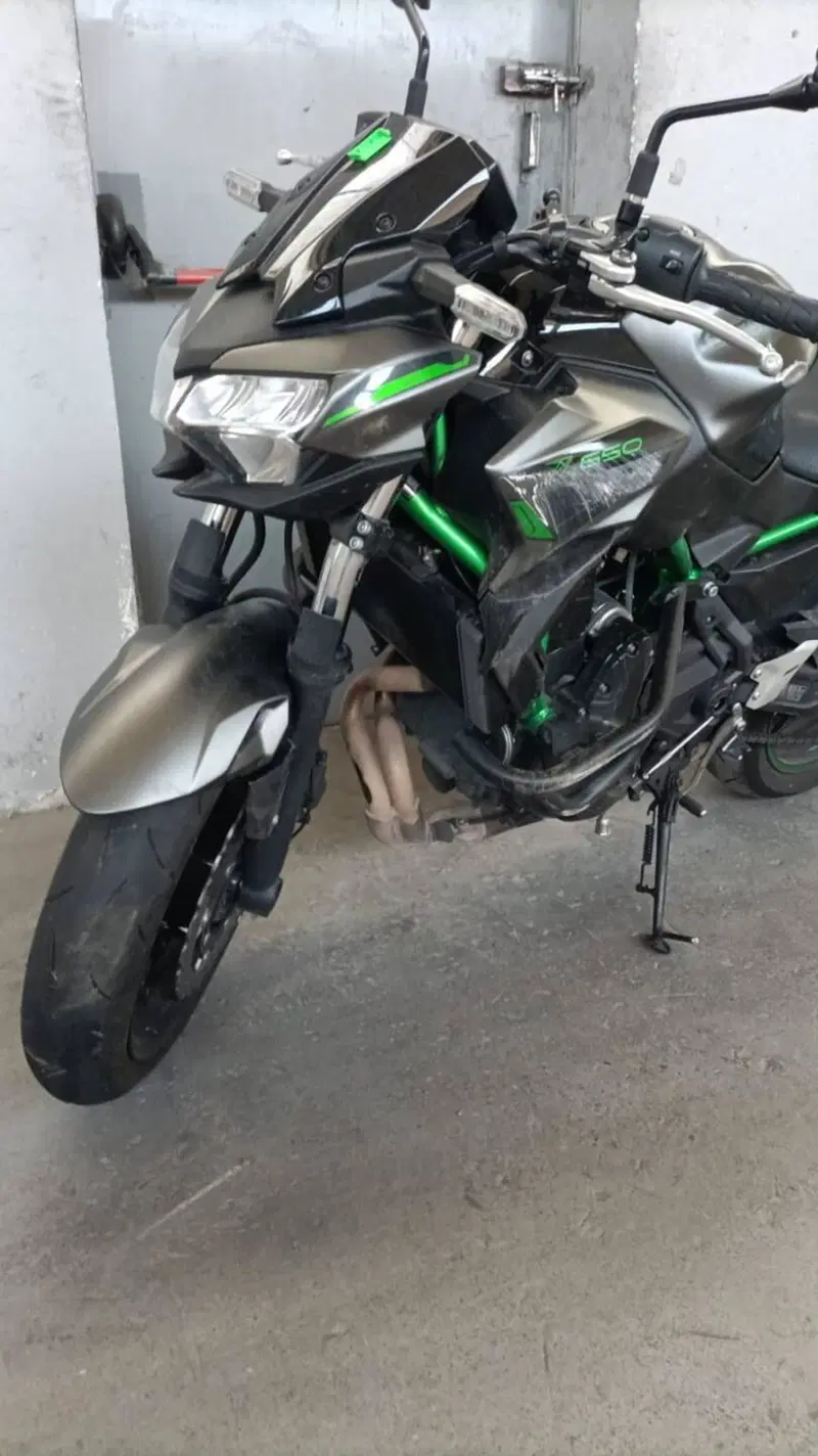 Kawasaki Z 650 (2021 - 24) (7)