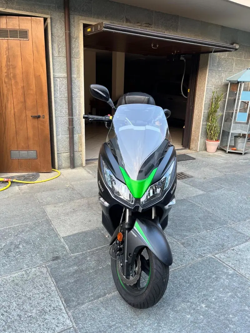 Kawasaki J 300 (2017 - 21) (2)