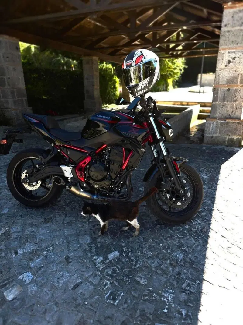 Kawasaki Z 650 Performance Akrapovic (2026) (3)