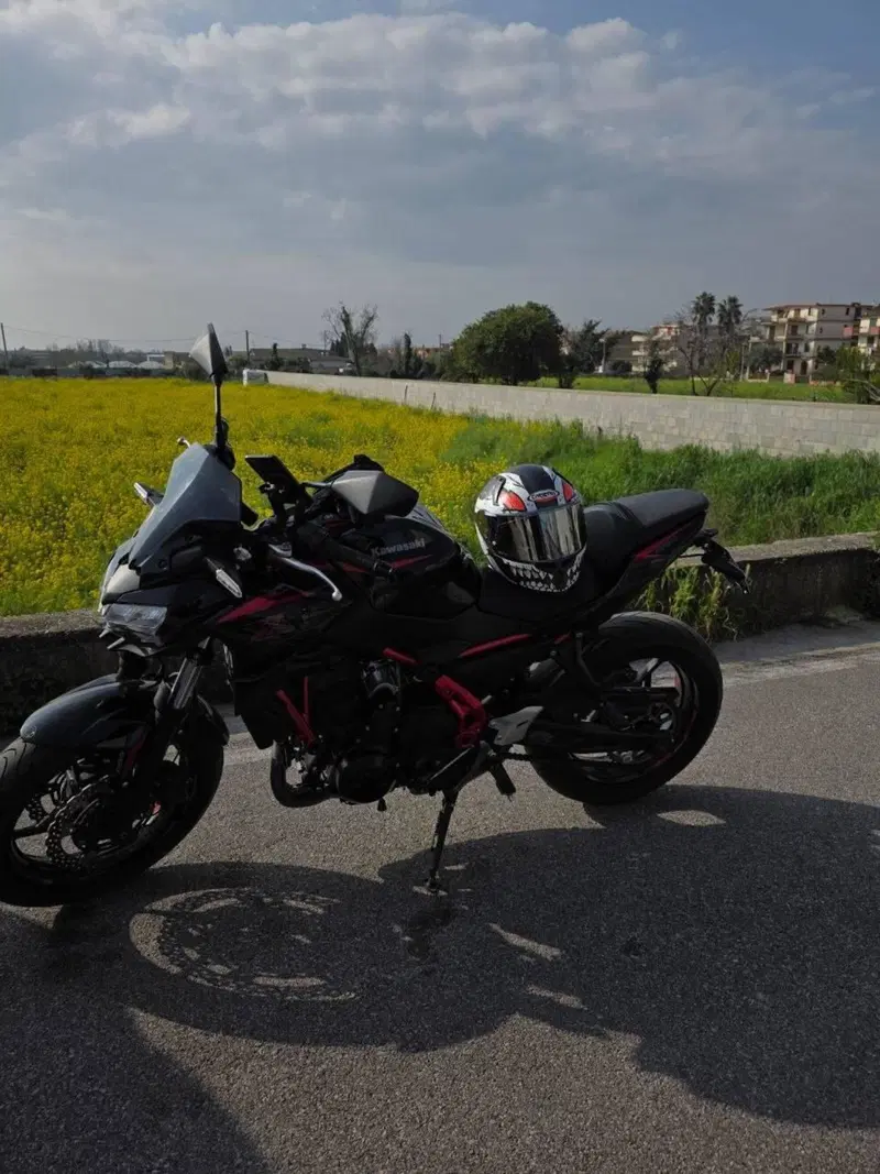 Kawasaki Z 650 Performance Akrapovic (2026) (6)