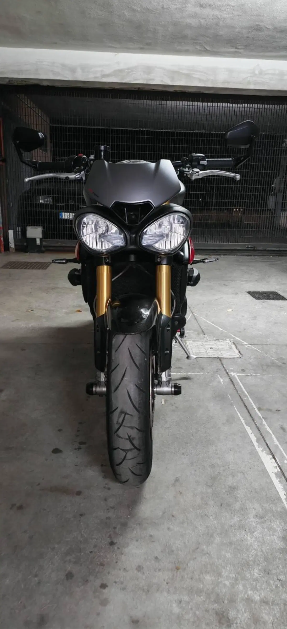 Triumph Speed Triple 1050 R ABS (2016 - 17) (4)