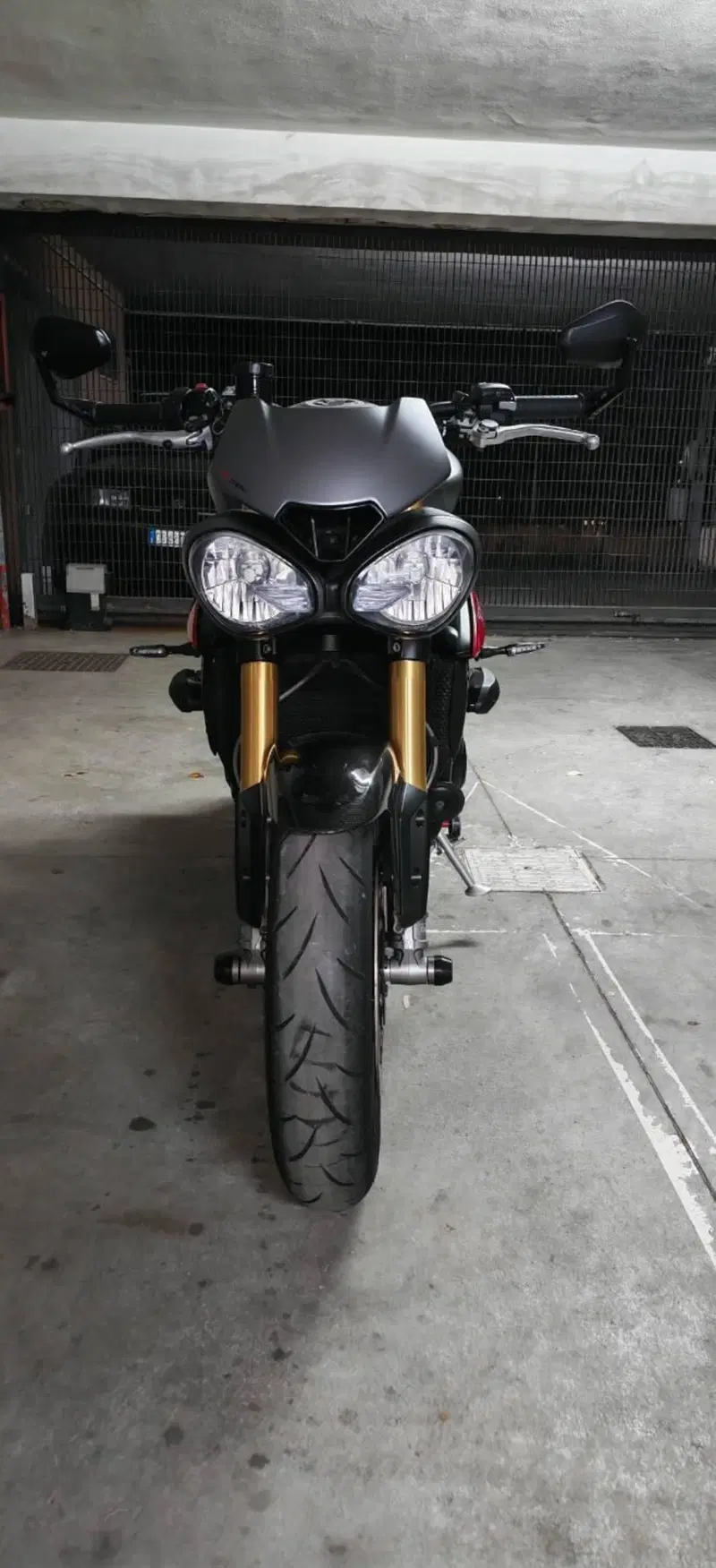 Triumph Speed Triple 1050 R ABS (2016 - 17) (4)