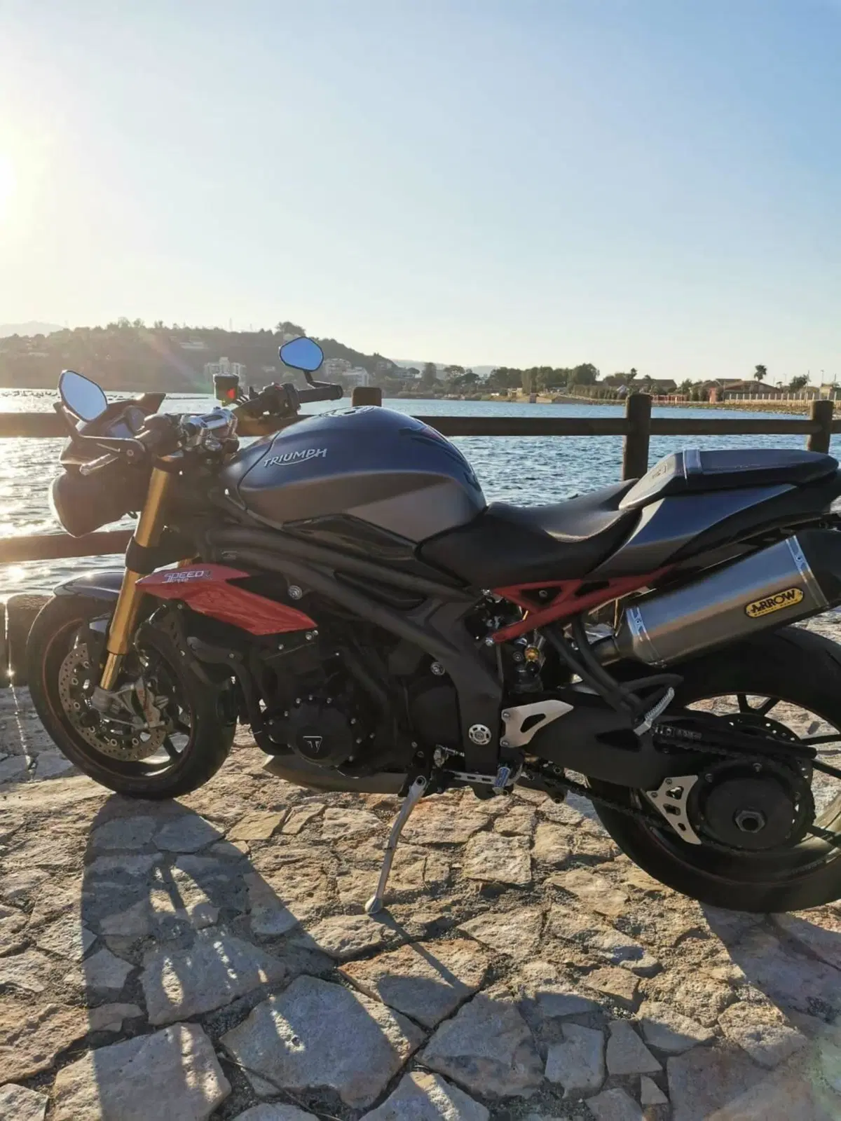 Triumph Speed Triple 1050 R ABS (2016 - 17) (10)