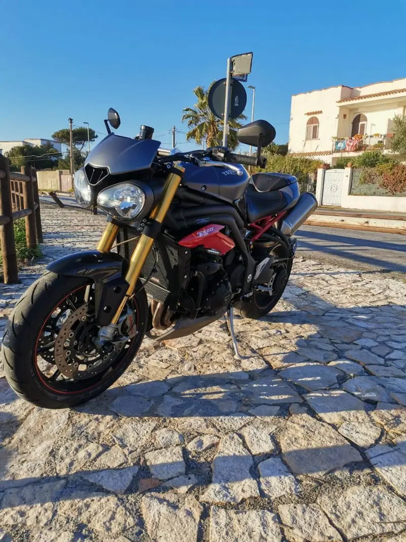 Triumph Speed Triple 1050 R ABS (2016 - 17) (11)