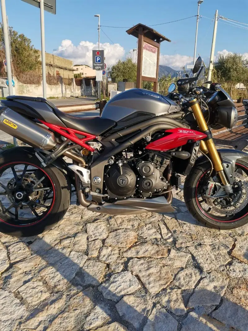 Triumph Speed Triple 1050 R ABS (2016 - 17) (12)