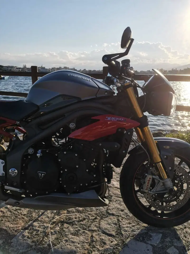 Triumph Speed Triple 1050 R ABS (2016 - 17) (13)