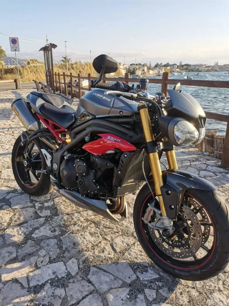 Triumph Speed Triple 1050 R ABS (2016 - 17) (16)