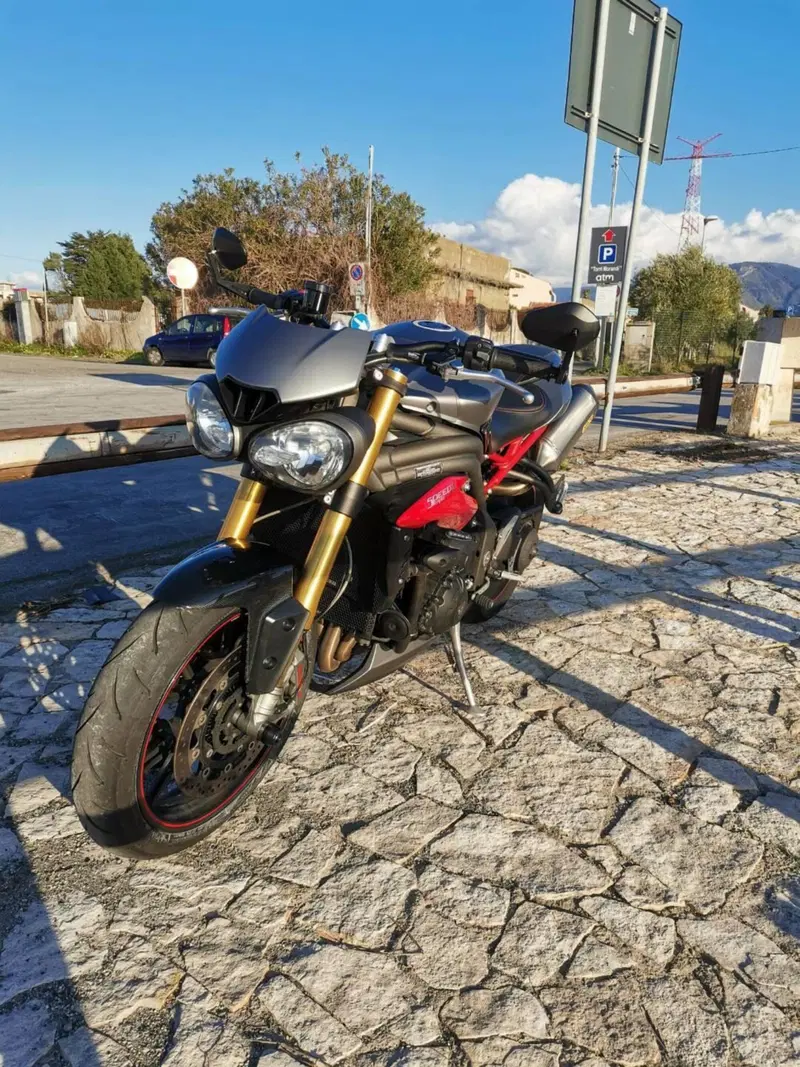 Triumph Speed Triple 1050 R ABS (2016 - 17) (17)
