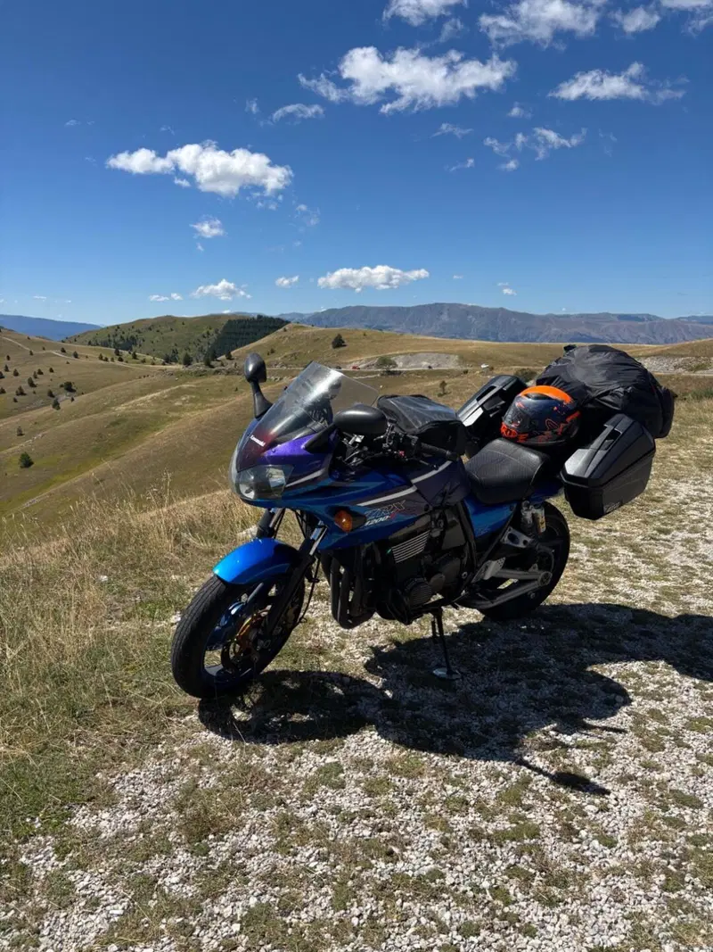 Kawasaki ZRX 1200 S (2001 - 04) (3)