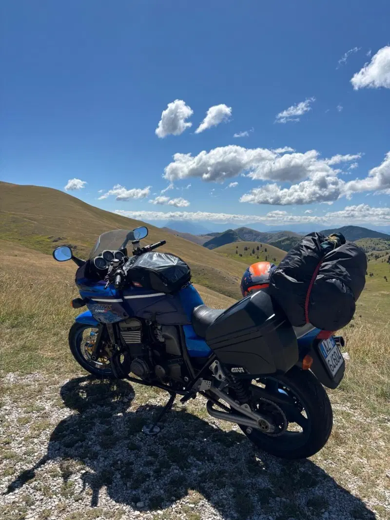 Kawasaki ZRX 1200 S (2001 - 04) (4)