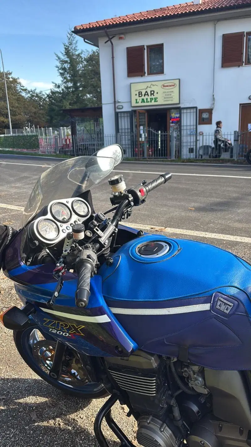Kawasaki ZRX 1200 S (2001 - 04) (5)