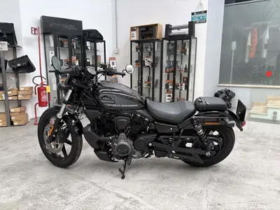 Harley-Davidson Nightster (2023 - 26) usata