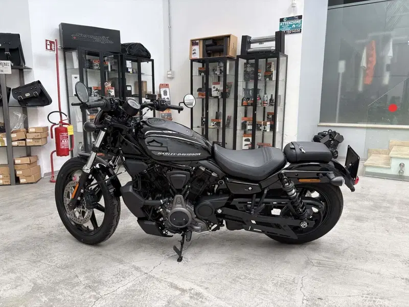 Harley-Davidson Nightster (2023 - 26)