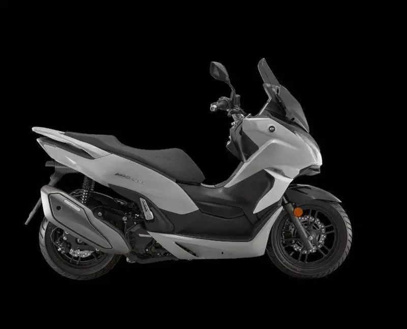QJ Motor MTX 300 (2025 - 26) (3)