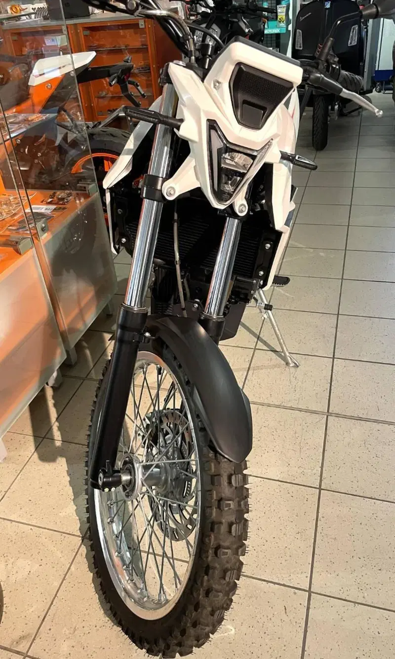 Betamotor Alp 4.0 (2024 - 26) (4)