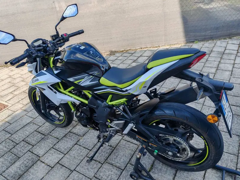 Kawasaki Z 125 Performance (2019 - 20) (2)