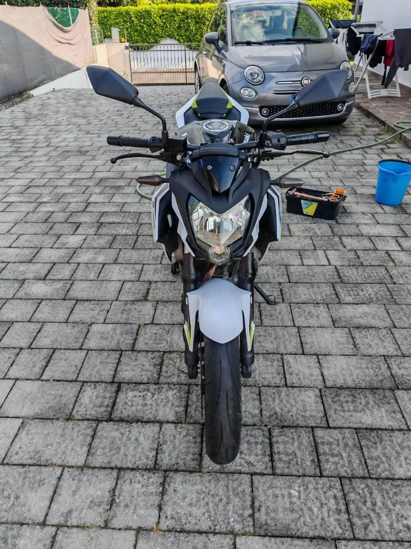 Kawasaki Z 125 Performance (2019 - 20) (3)
