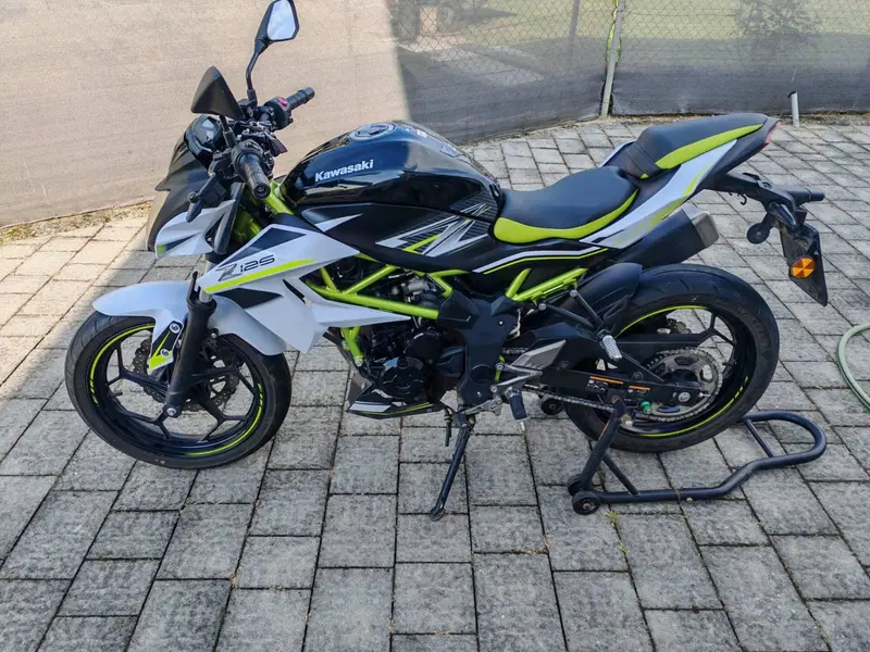 Kawasaki Z 125 Performance (2019 - 20) (4)