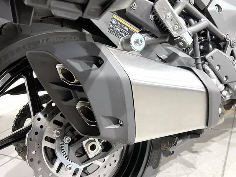 Kawasaki Versys 1000 (2019 - 20) (3)