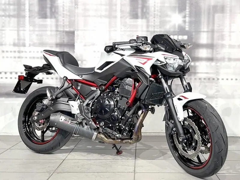 Kawasaki Z 650 (2021 - 24)