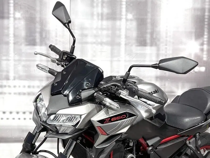 Kawasaki Z 650 (2021 - 24) (4)