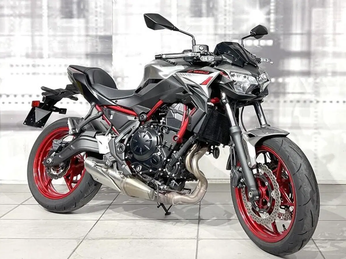 Kawasaki Z 650 (2021 - 24)