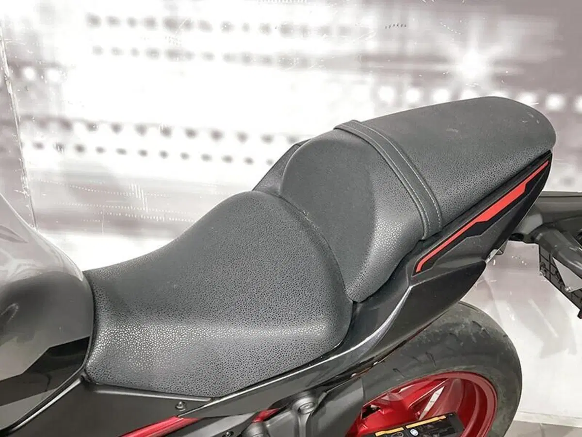 Kawasaki Z 650 (2021 - 24) (4)