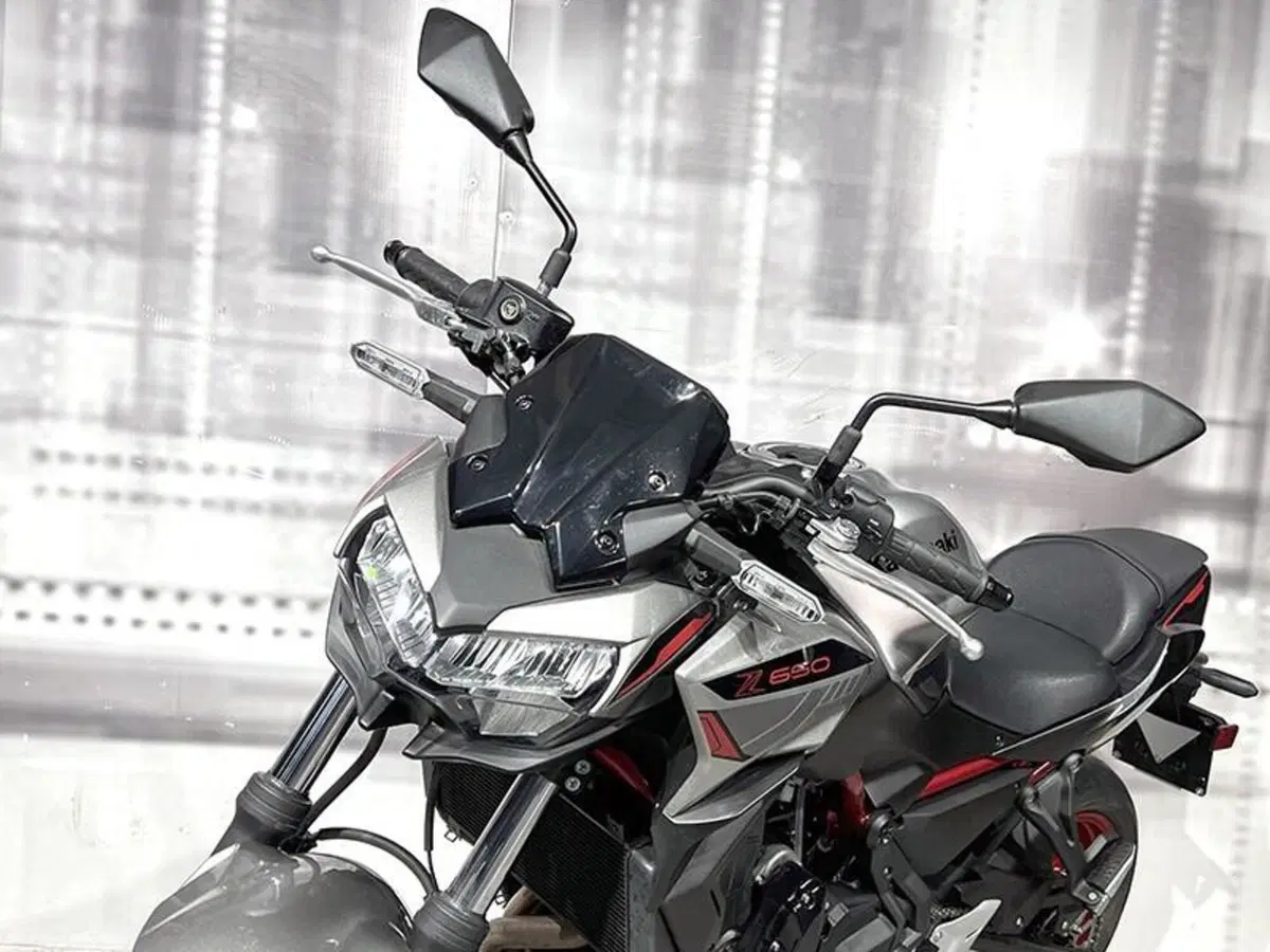 Kawasaki Z 650 (2021 - 24) (5)