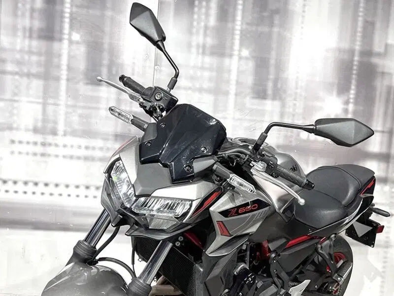 Kawasaki Z 650 (2021 - 24) (5)