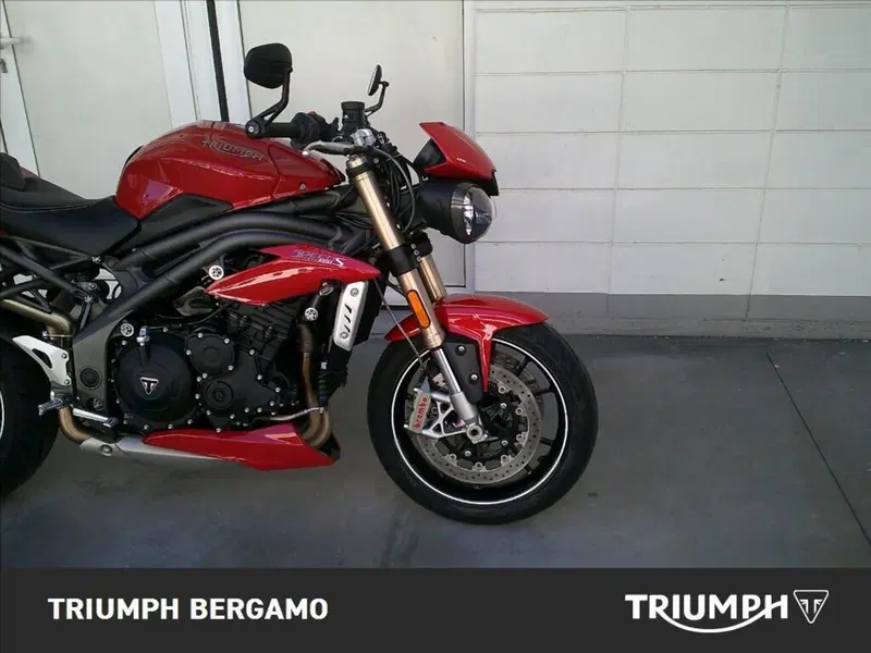 Triumph Speed Triple 1050 S ABS (2016 - 17) (8)