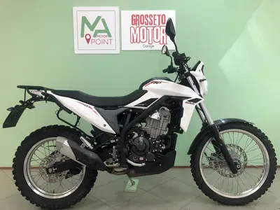 Betamotor Alp 4.0 (2024 - 26) usata