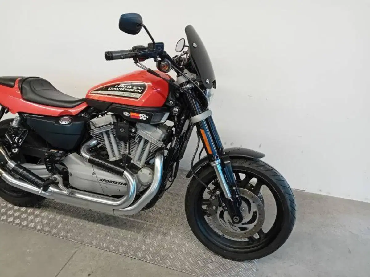 Harley-Davidson 1200 XR (2009 - 12) (2)