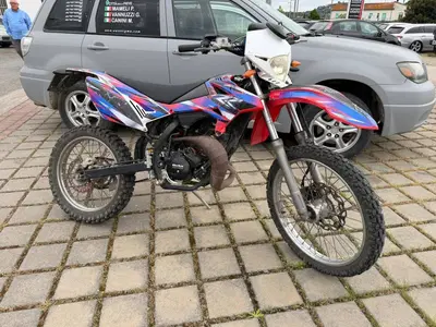 Betamotor RR 50 Enduro (2011 - 18) usata