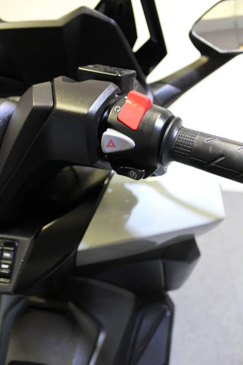 Honda Forza 350 (2022 - 24) (12)