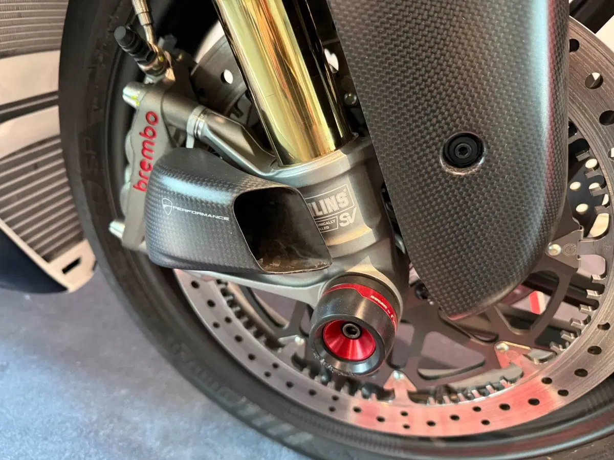 Ducati Panigale V4 Tricolore (2025 - 26) (4)