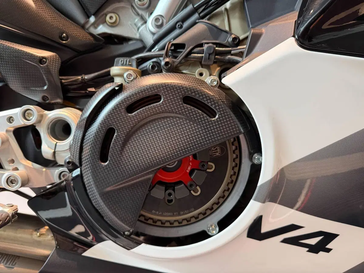 Ducati Panigale V4 Tricolore (2025 - 26) (6)