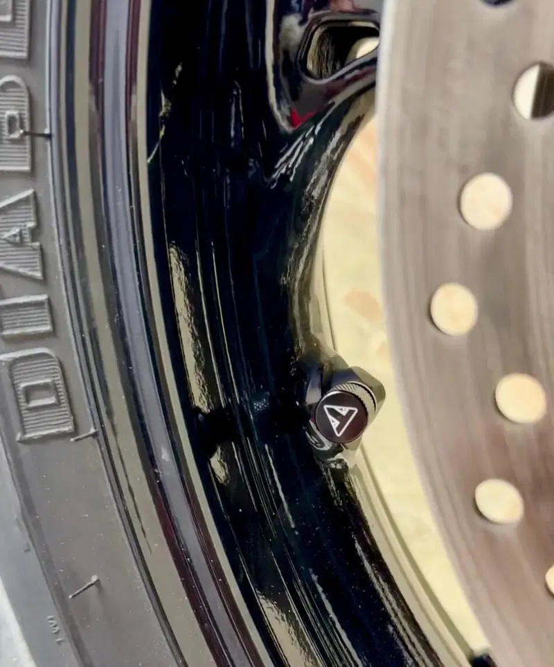 Triumph Speed Triple 1200 RX (2025 - 26) (7)