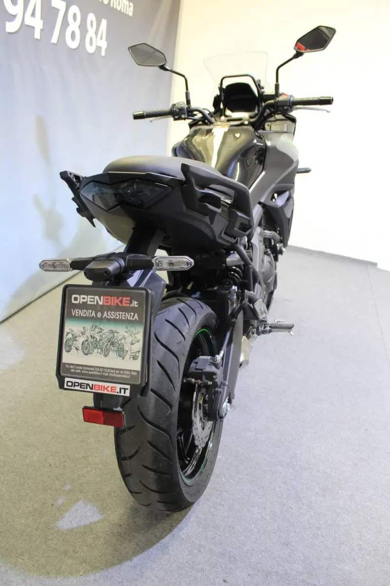 Kawasaki Versys 650 (2025 - 26) (5)