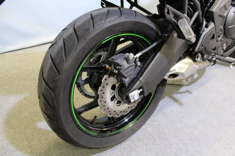 Kawasaki Versys 650 (2025 - 26) (6)