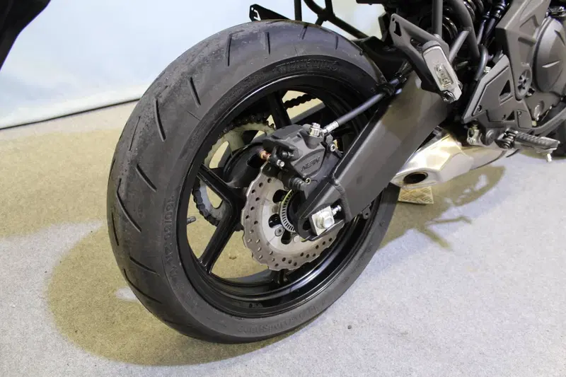 Kawasaki Versys 650 (2025 - 26) (6)