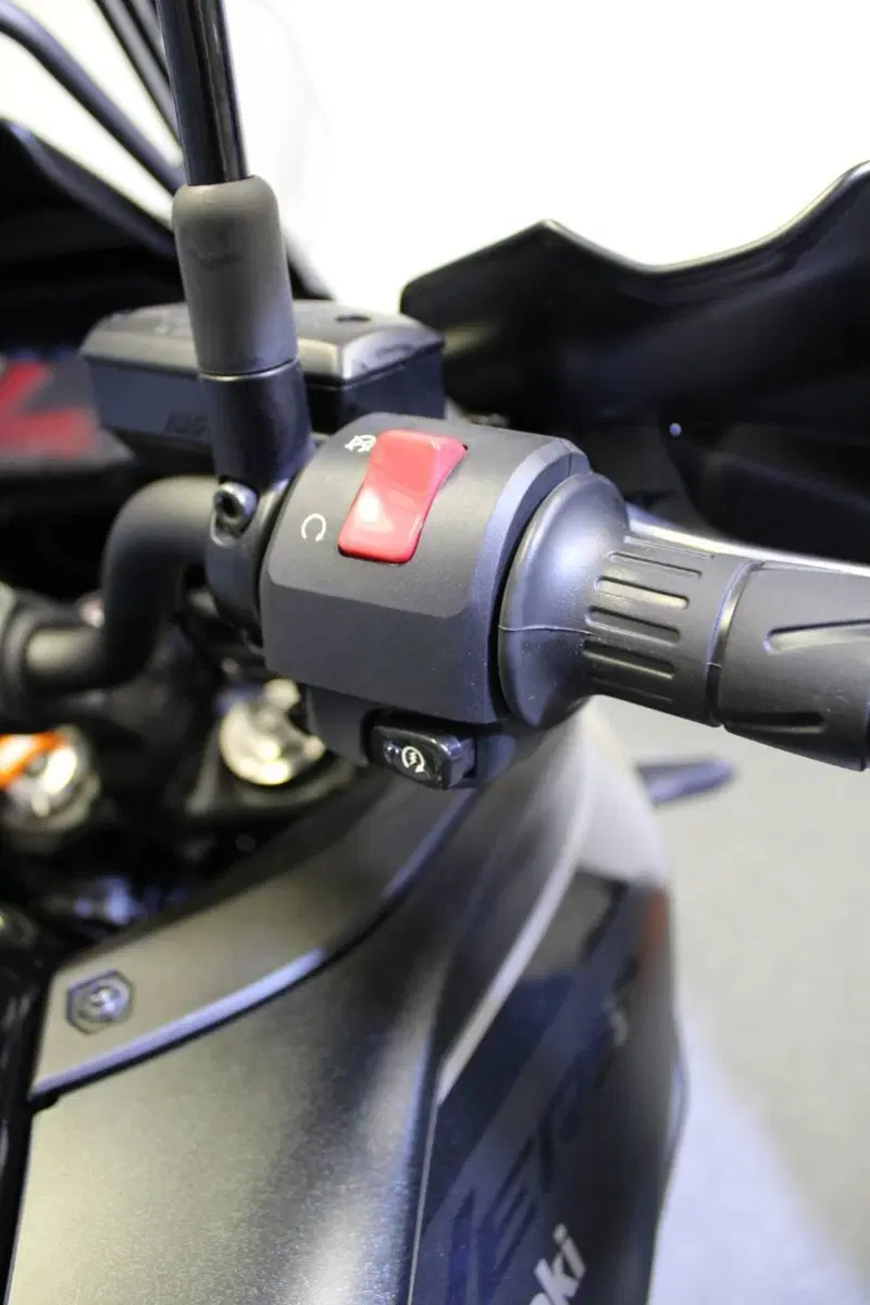 Kawasaki Versys 650 (2025 - 26) (11)