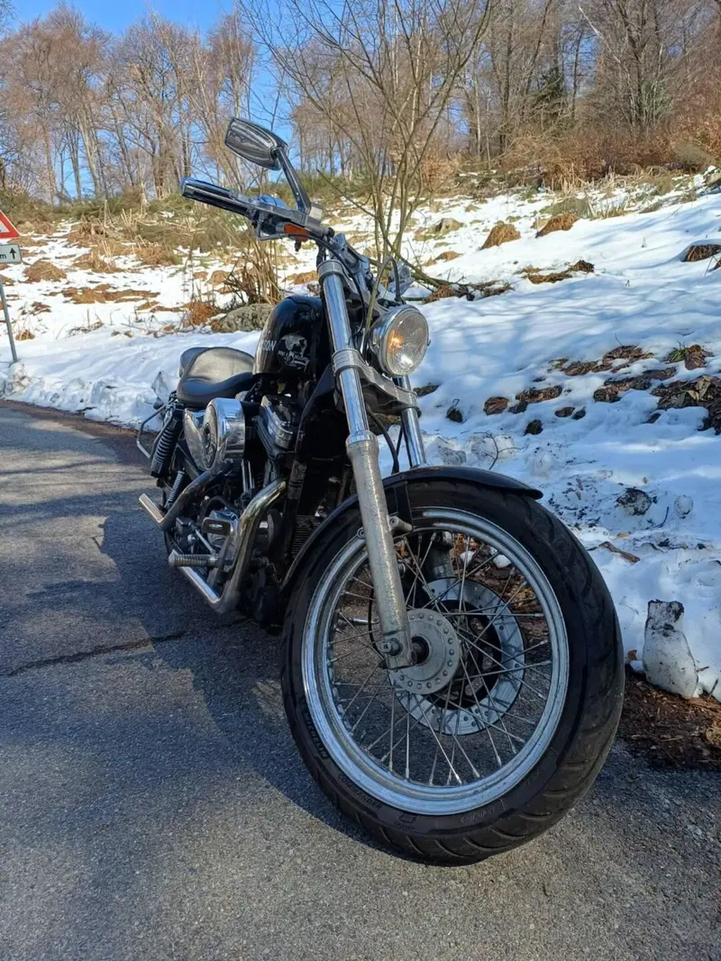 Harley-Davidson 883 Standard (1987 - 93) - XLH (2)