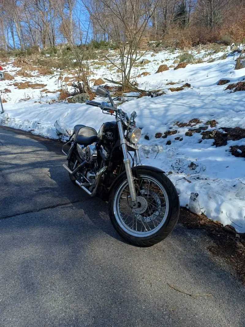 Harley-Davidson 883 Standard (1987 - 93) - XLH (3)