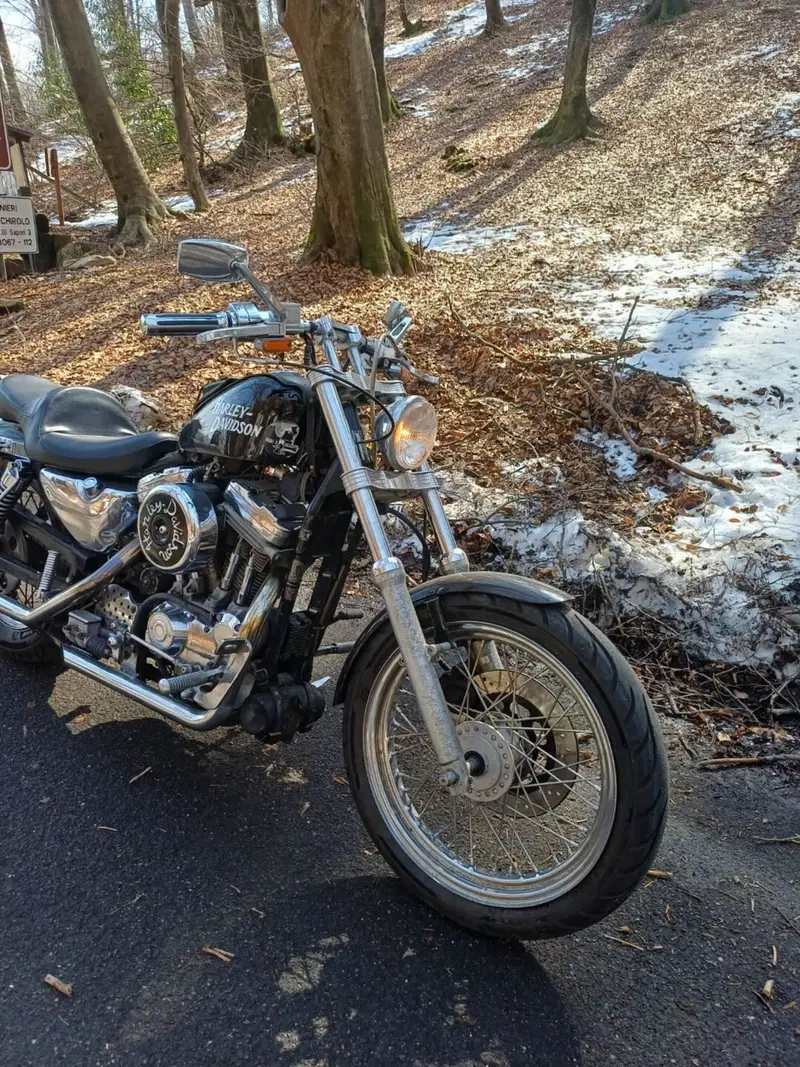 Harley-Davidson 883 Standard (1987 - 93) - XLH (4)