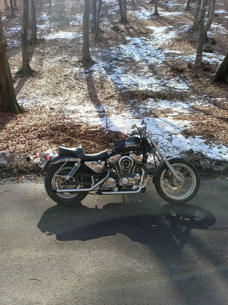 Harley-Davidson 883 Standard (1987 - 93) - XLH (5)