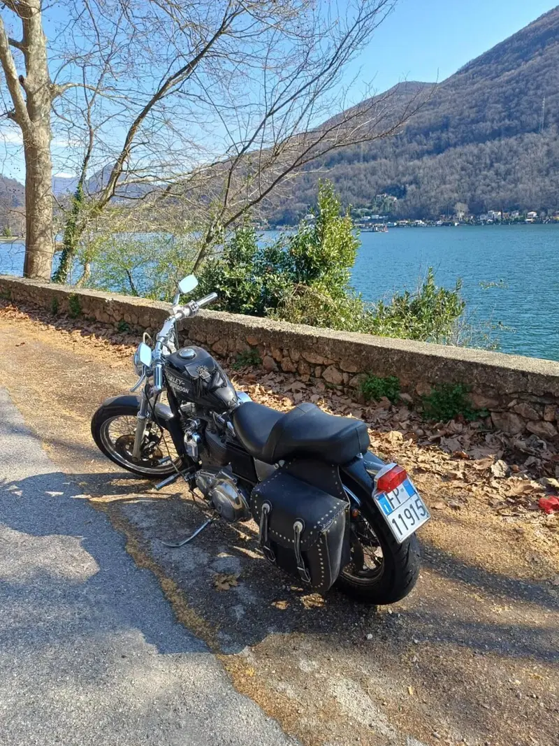 Harley-Davidson 883 Standard (1987 - 93) - XLH (6)